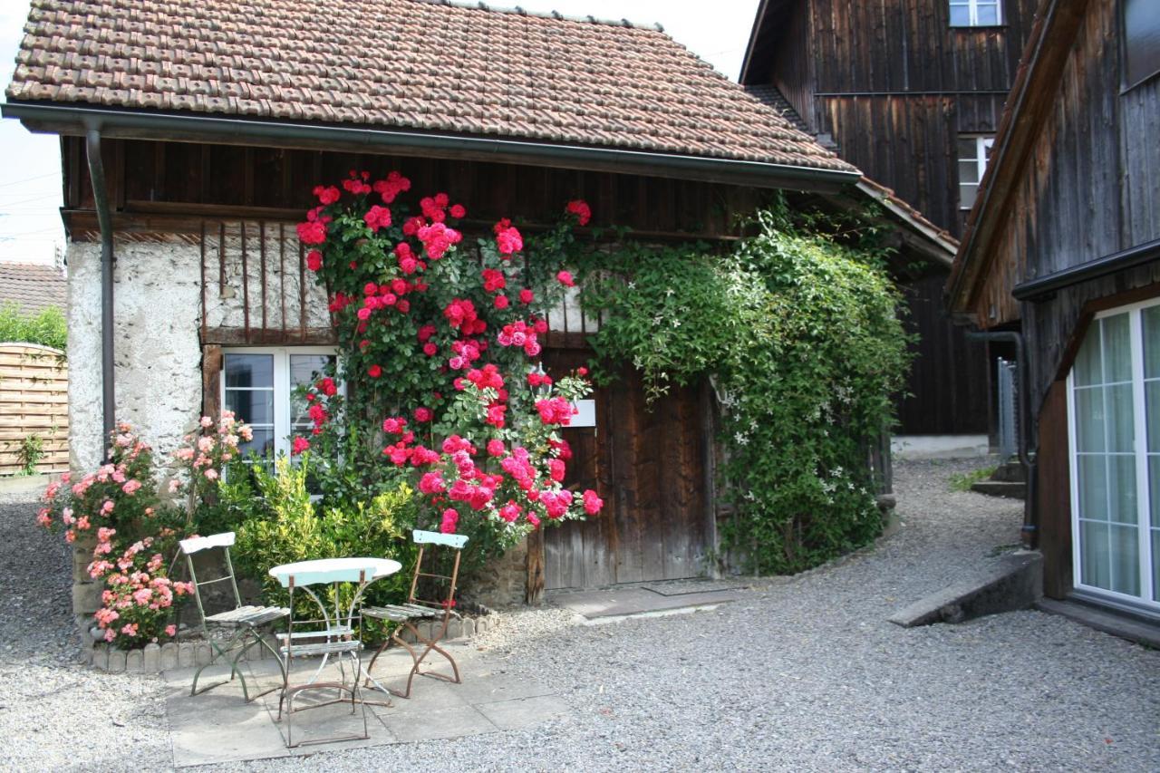 Idyllisches Woeschhuesli Villa Knonau Exterior photo